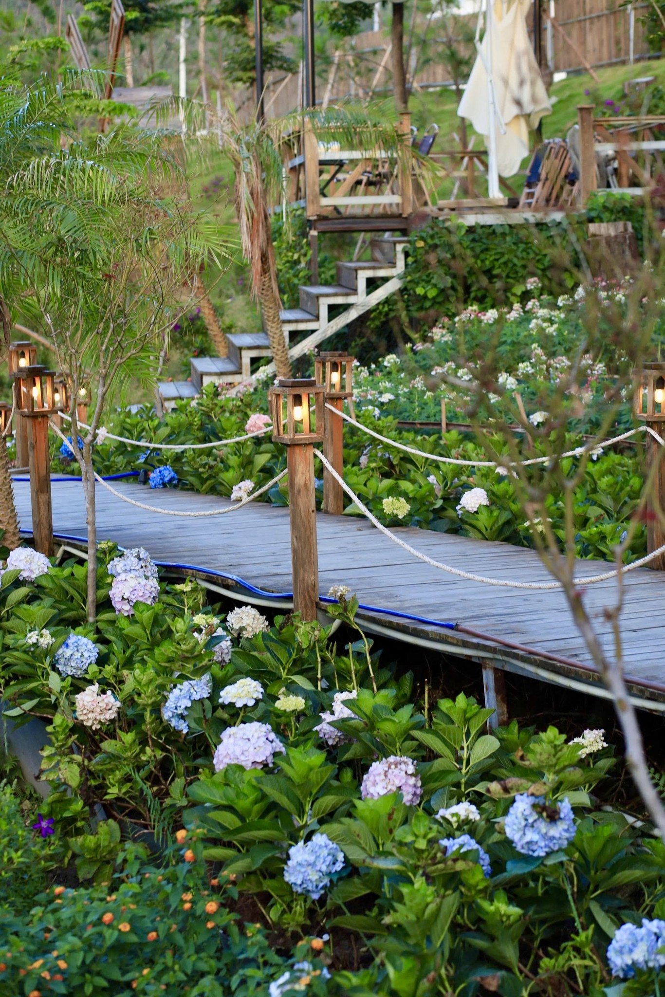 Ly cà phê trên đồi