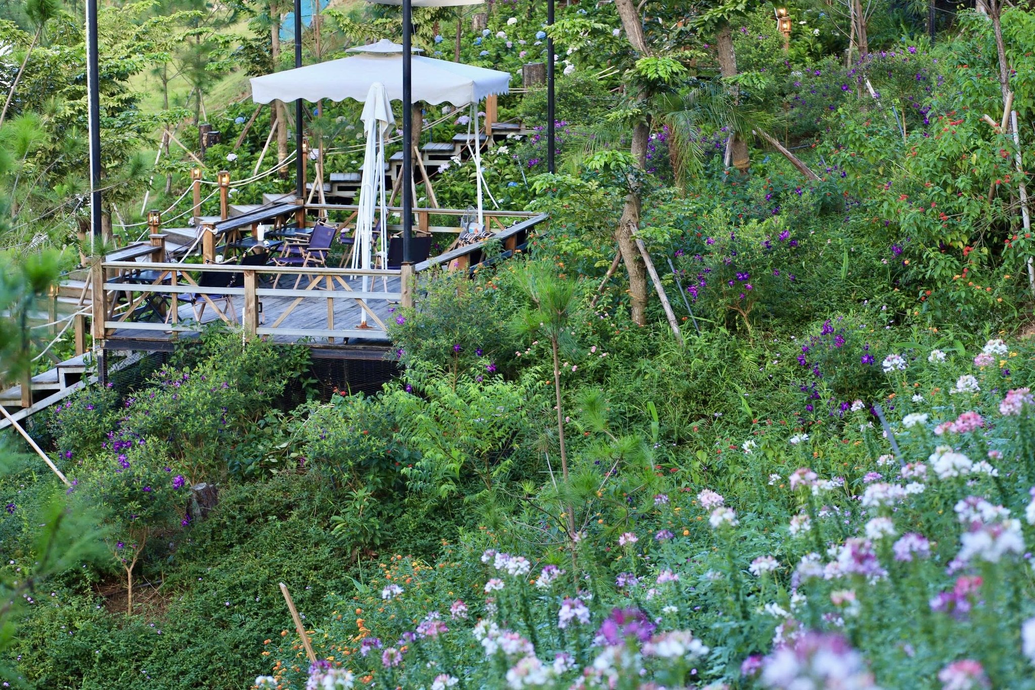 Đêm dưới ánh trăng